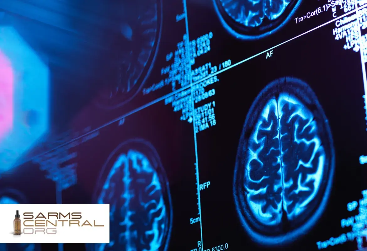 Best Nootropics for Memory and Learning - Cognitive Enhancer